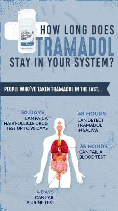 How Long Does Tramadol Stay in the Human Body?